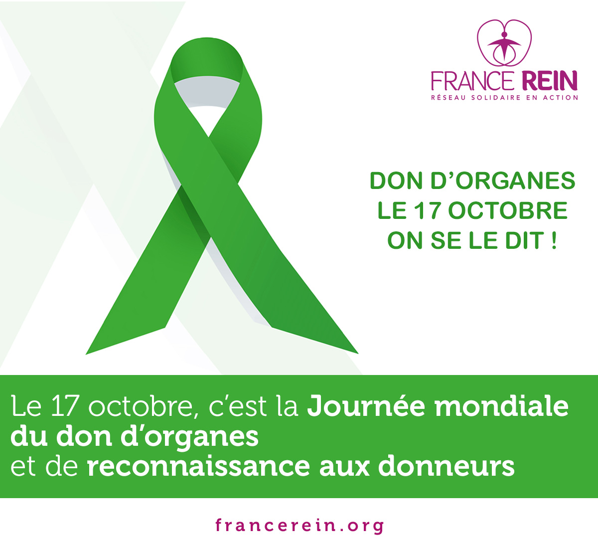 Mardi octobre Journée mondiale du don d organes et de reconnaissance aux donneurs France Rein