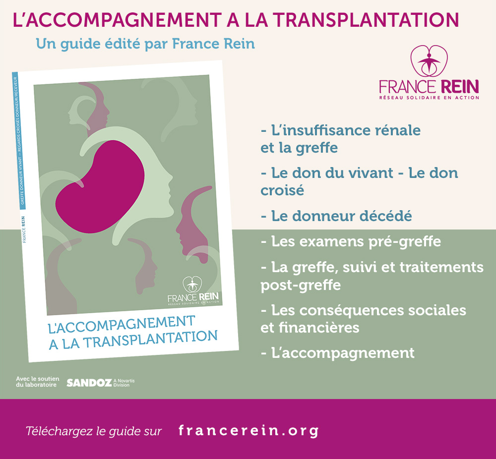 Laccompagnement à La Transplantation Un Nouveau Guide France Rein France Rein