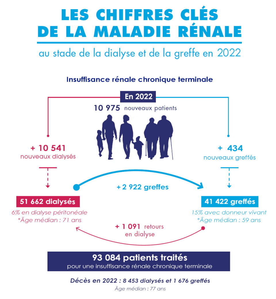 Les chiffres clés de la maladie rénale au stade de la dialyse et de la greffe en 2022